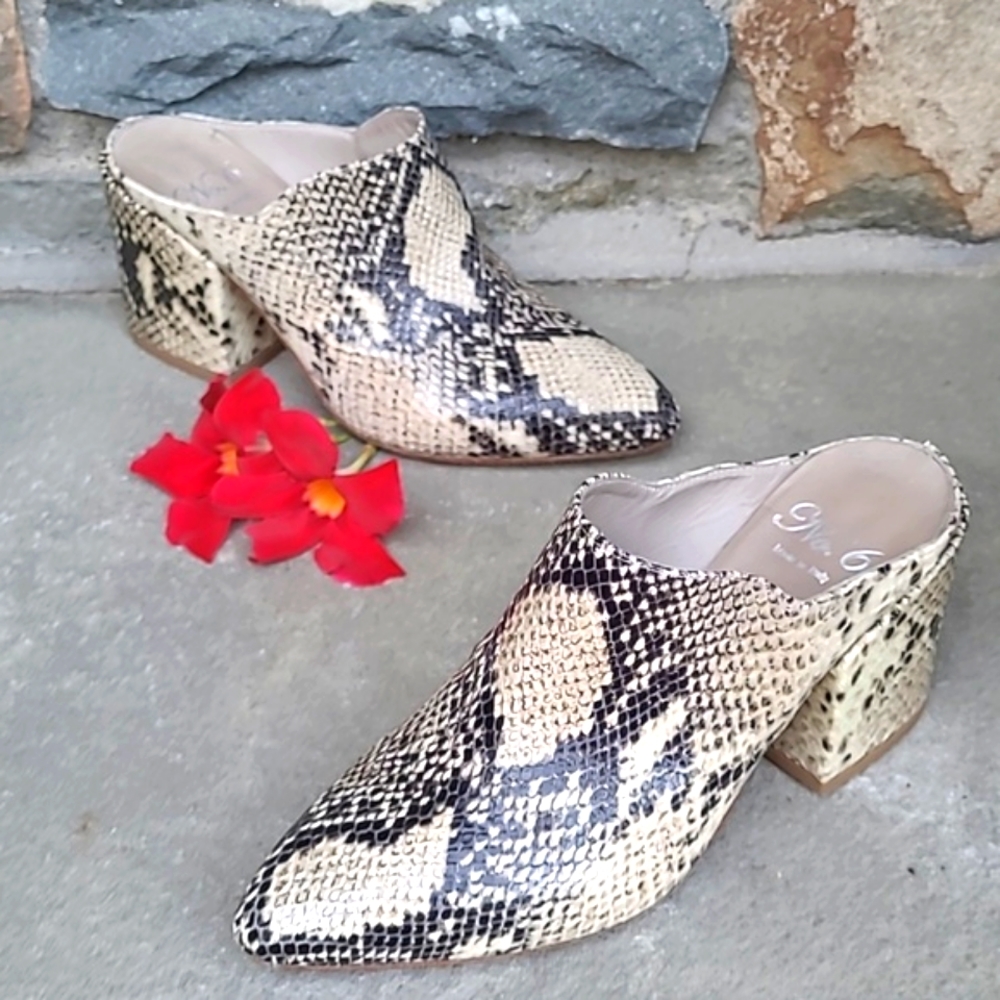 No. 6 snake printt chunky  heel mule clogs